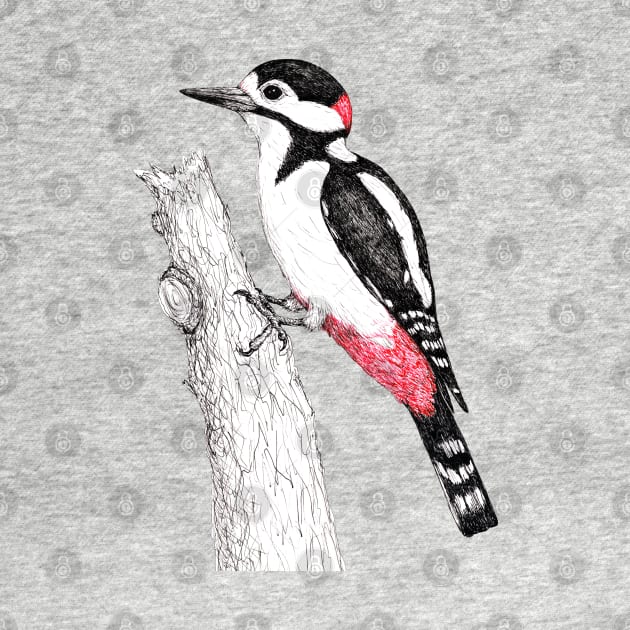 Great spotted woodpecker by Bwiselizzy